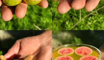 Doctors Wont Want You to Drink This: It Cures Diabetes, High Blood Pressure, and Poor Circulation!
