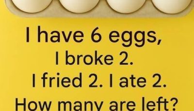 The 6-Egg Riddle — Answer Revealed
