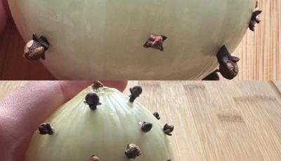 My Grandmother Always Sticks Cloves in the Onion Heres Why This French Technique Changes Everything