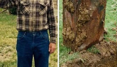 Buried Secrets: The Mystery in My Neighbor’s Yard