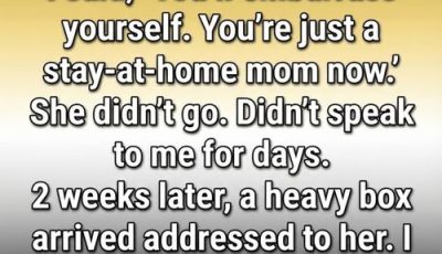 I Underestimated My Wife—Until a Box at Our Door Taught Me a Powerful Lesson