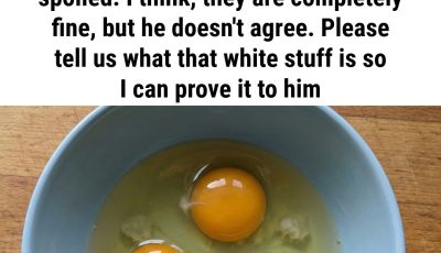 What Is That White Stuff in Eggs? (Spoiler: It’s Not What You Think!)