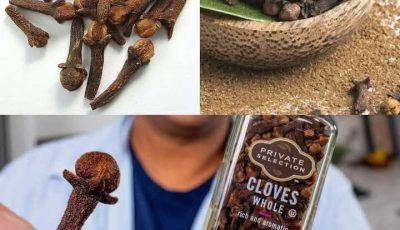 – 4 Secret Uses of Clove Spice You Need to Know