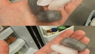Why Are Ice Cubes in My Fridge Gray? (And How to Fix It Fast!)