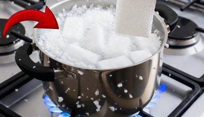 Why it’s a good idea to reuse polystyrene and a creative idea to make better use of it.