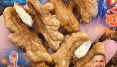 What Happens When You Eat Walnuts Every Day? Doctors Reveal the Surprising Effects on Your Body