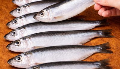 Sardines ready for dinner in just 10 minutes: the simple trick I learned from an experienced fisherman