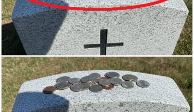 The Meaning Behind the Tradition of Coins on Gravestones — A Silent Language of Honor