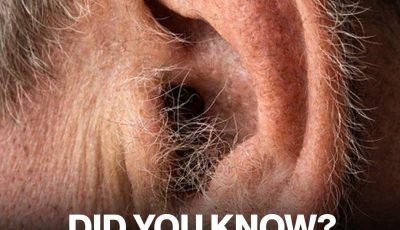 Did you know that if your ear hairs grow, it is because your body is