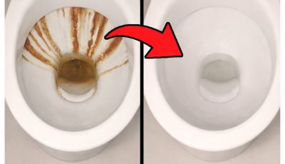 I mixed these ingredients and the toilet was spotless in just 5 minutes.