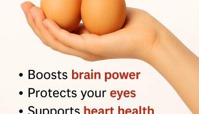 Two Eggs a Day — Small Habit, Big Health Boost