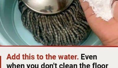 Add this to the water. Even when you don’t clean the floor in a week, it will remain clean without any dust