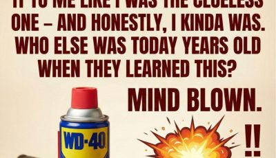 What WD-40 Really Stands For