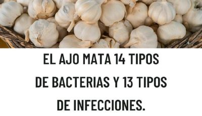 El Ajo Mata Tipos de Bacterias: El Antibiótico Natural que Debes Conocer