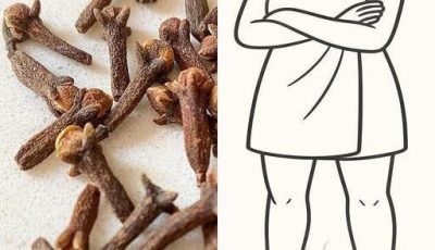 Importance of cloves