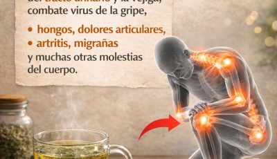 Elixir de Cuatro Poderes: Tomillo, Ajo, Canela y Clavos para la Desintoxicación y Memoria