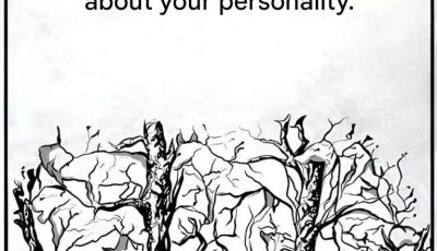 The first animal you see will reveal some information about your personality.
