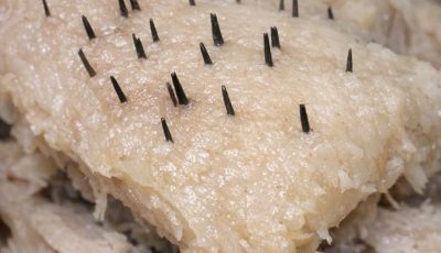 Started shredding the pork shoulder I had in the slow cooker and felt these hard, sharp spikes sticking out of the fat layer. They look like thick black wires and I’m grossed out. Did the butcher miss