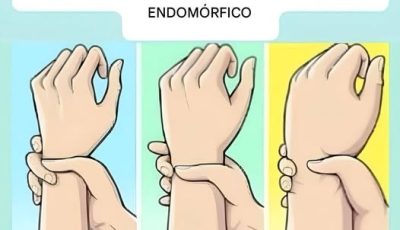 ¿Eres ectomorfo, mesomorfo o endomorfo? Descubre tu tipo de cuerpo y cómo sacarle el máximo provecho.