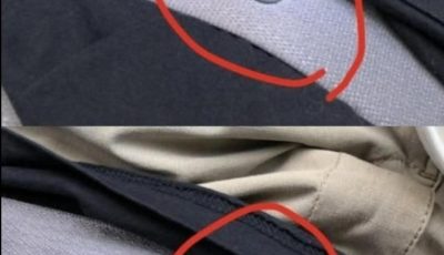 The Hidden Hero of Your Seat Belt: What Is That Little Round Button — And Why It’s Essential