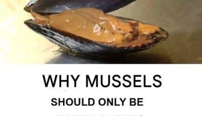Should You Only Eat Mussels in Months With an R