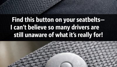 What the Little Button on Your Seat Belt Really Does
