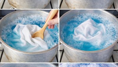 Why Pour Vinegar on Towels: 7 Household Tips That Will Make You Understand That Everything Ingenious Is Simple