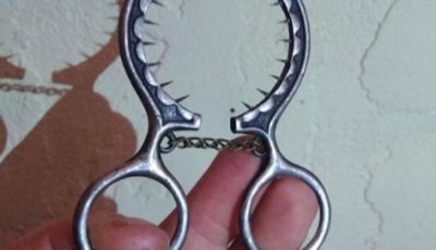 How to Use This Strange Tool in Your Kitchen