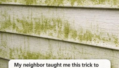My neighbor taught me this trick to clean green algae off siding with 0 effort. Here’s how it works