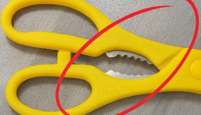 What Is That Weird Toothed Part on Kitchen Scissors For? (You’ve Been Ignoring a Genius Tool)