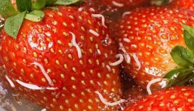 Why Tiny White Worms Come Out of Strawberries in Salt Water