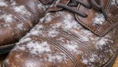 I took out some shoes I hadn’t worn all winter and found white, fuzzy spots growing on the leather. What is it?