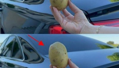Why Keeping a Potato in Your Car Could Be a Lifesaver