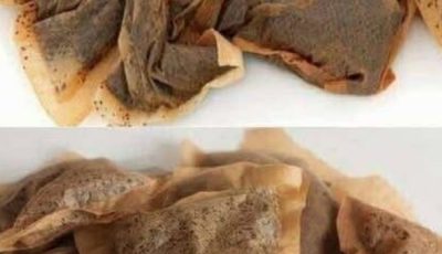 Why You Should Think Twice Before Throwing Away Used Tea Bags