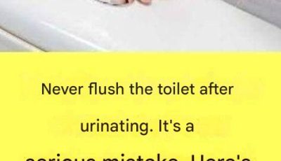 Never flush the toilet after urinating. It’s a big mistake. Here’s why.
