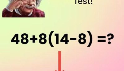 Can you solve this math problem?