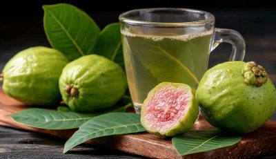 Nature’s secret: 4 leaves with healing properties that naturally promote metabolism, immunity and circulation.