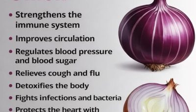 Purple Onion Remedy: The Simple Homemade Recipe That Supports Lungs, Relieves Cough, and Boosts Immunity